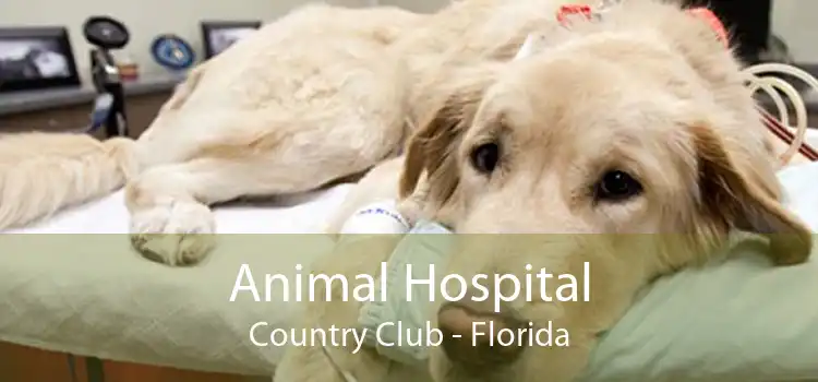 Animal Hospital Country Club - Small, Affordable, And Emergency Animal  Hospital